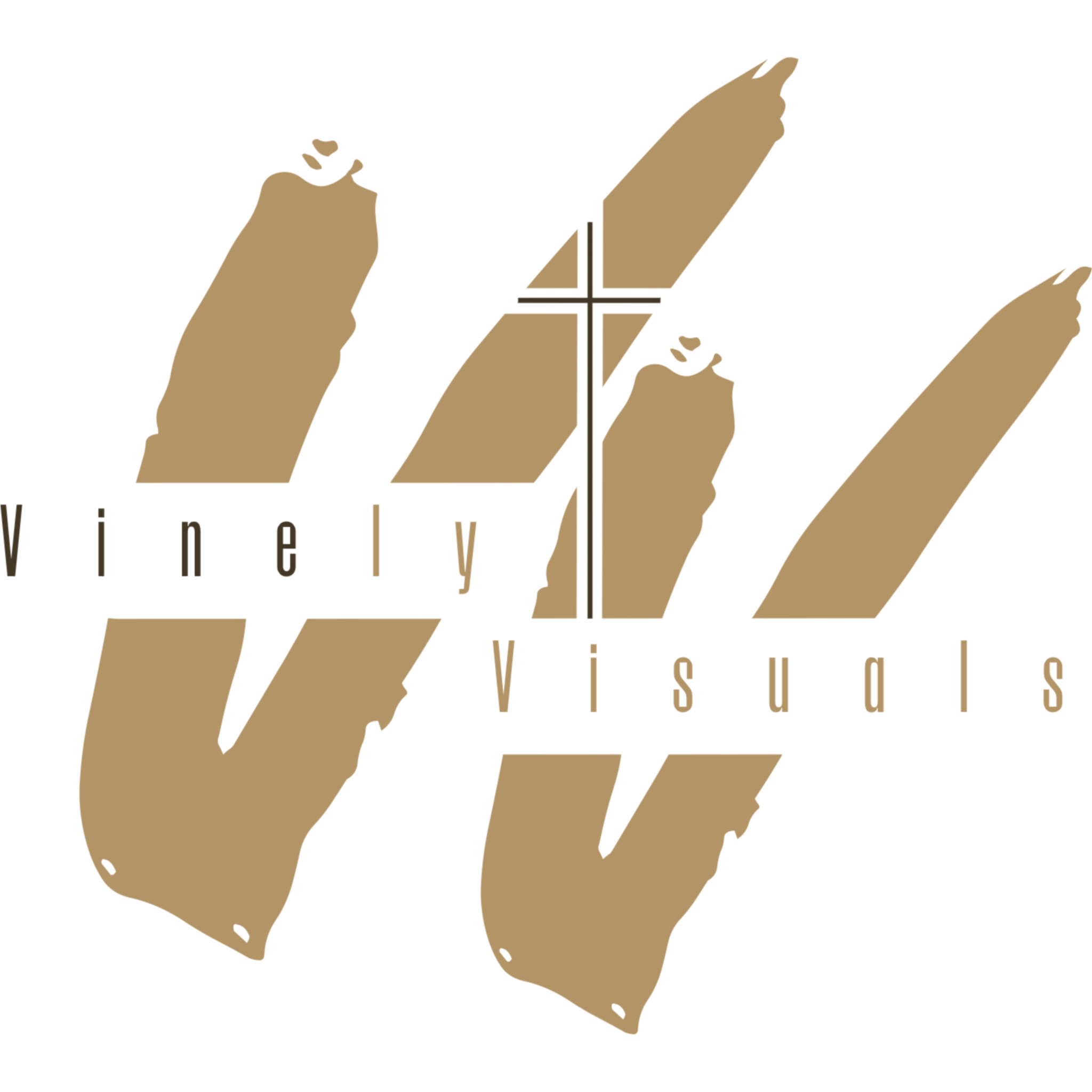 Custom Logo Design Service