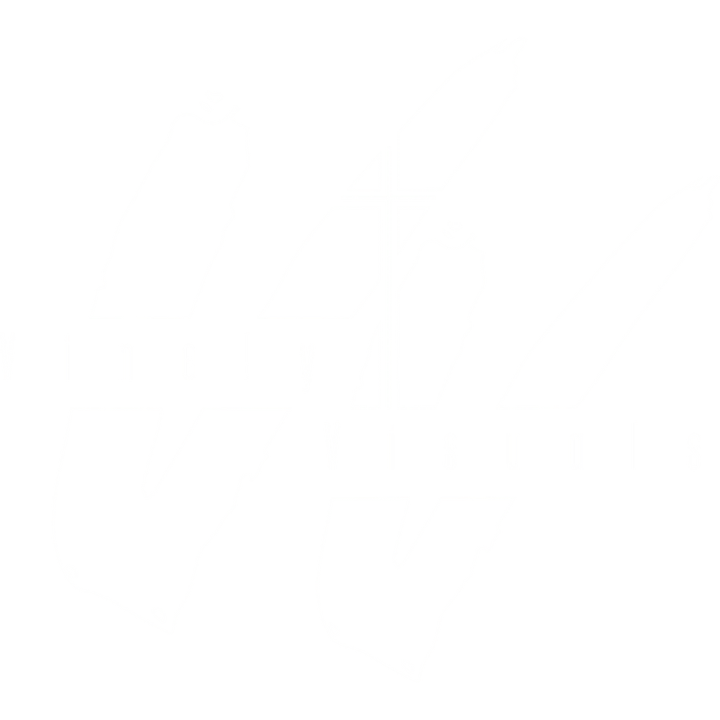 Custom Logo Design Service