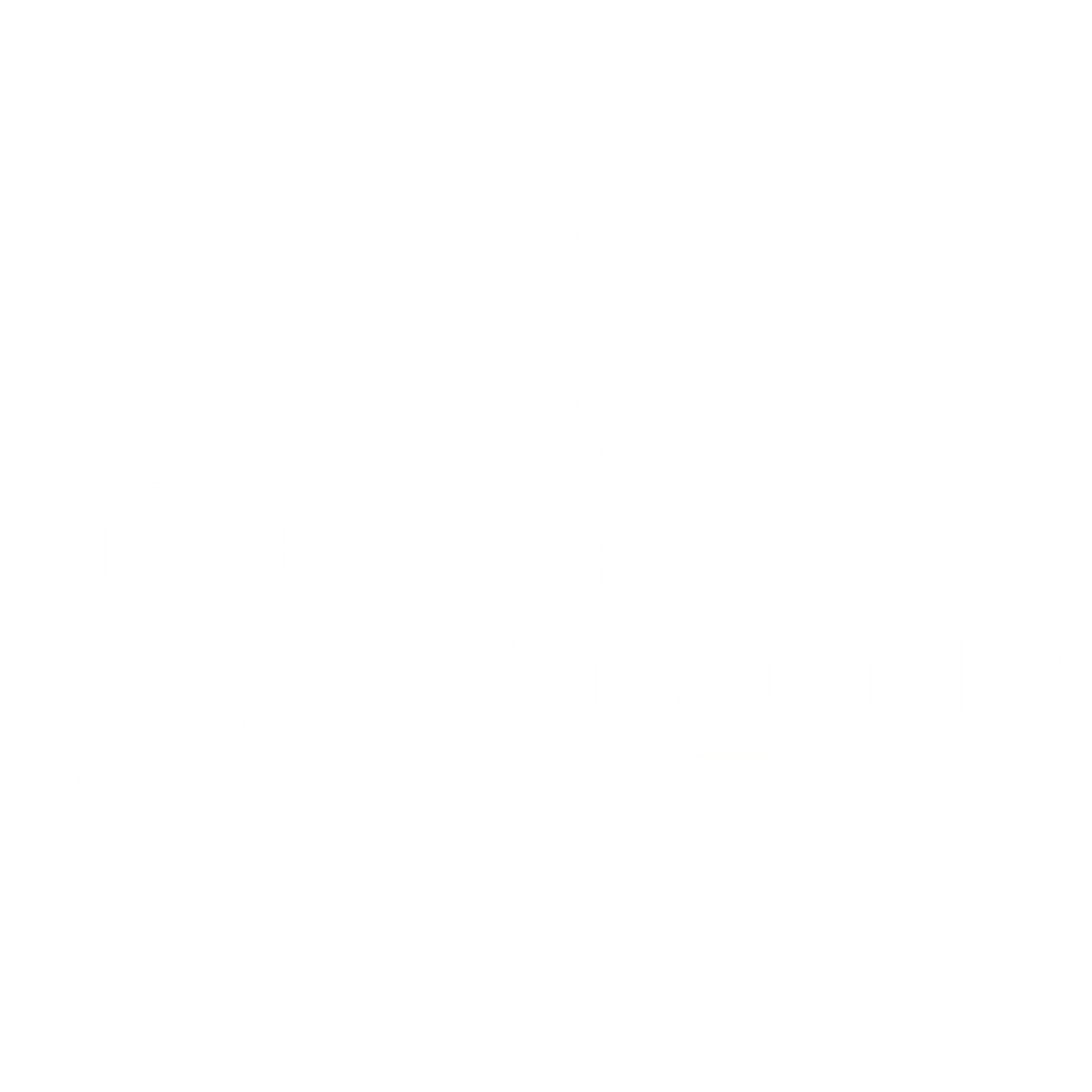 Custom Logo Design Service